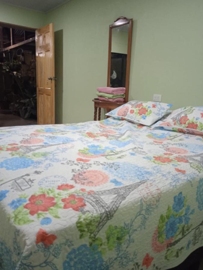 Alexander B&B Alajuela Extérieur photo