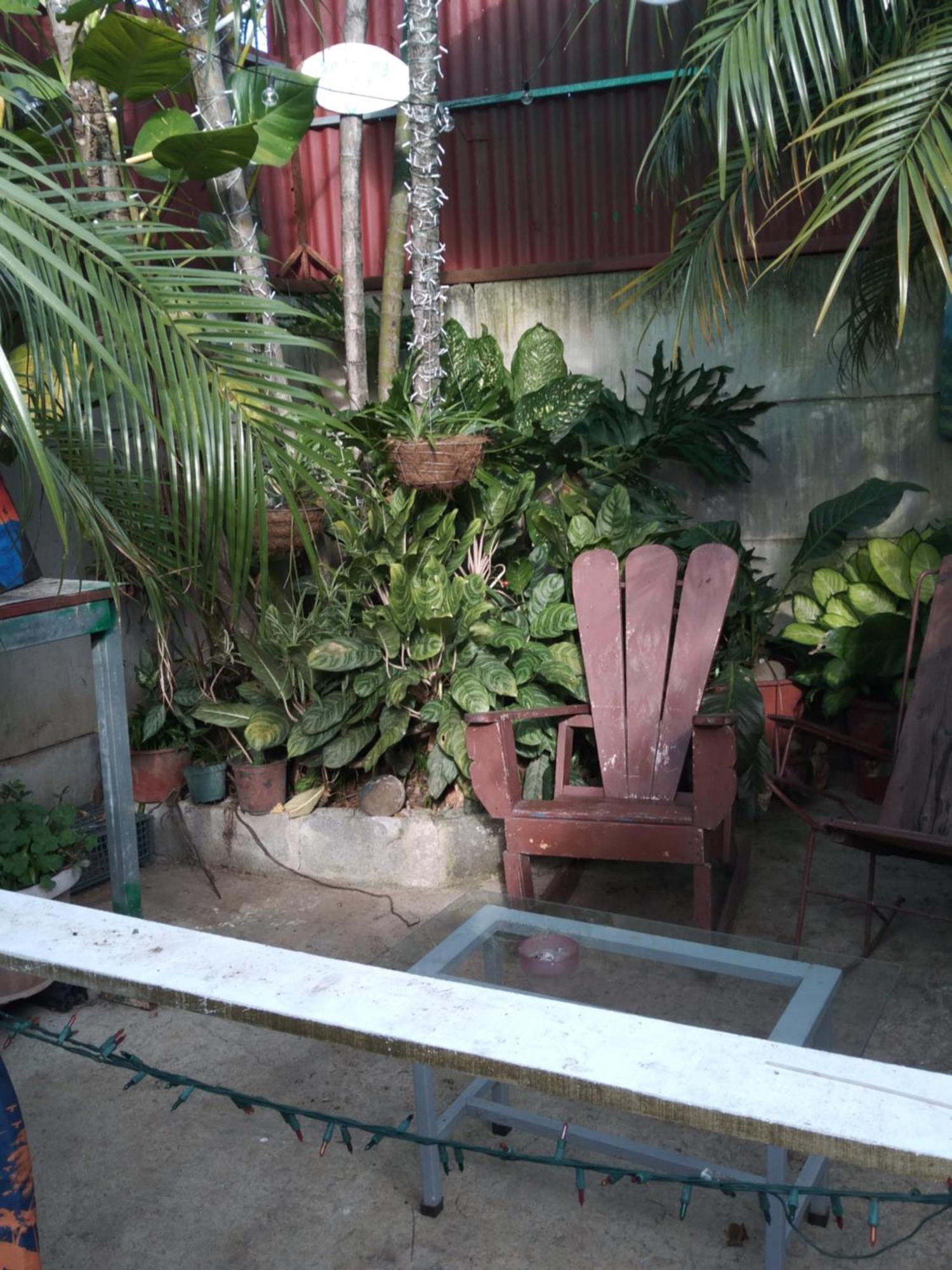 Alexander B&B Alajuela Extérieur photo